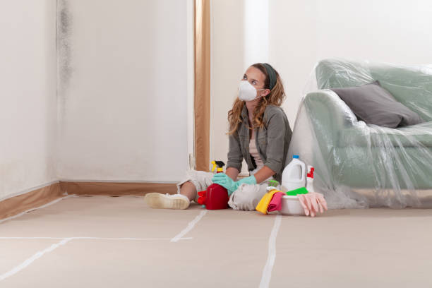 Reliable Mold Inspection contractor in Bridgman, MI by WQB Mold Removal